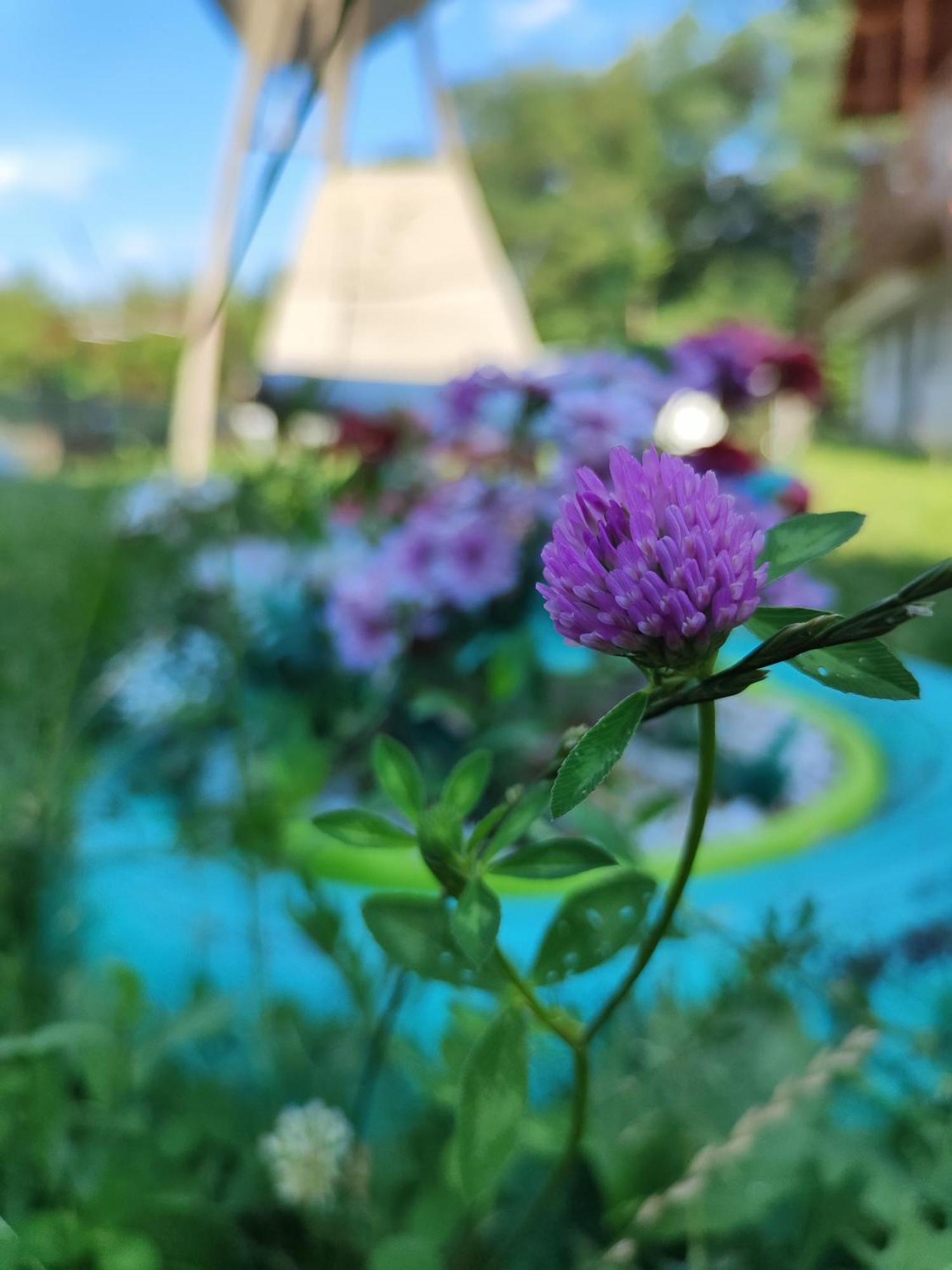 Happy Home Călimăneşti 외부 사진