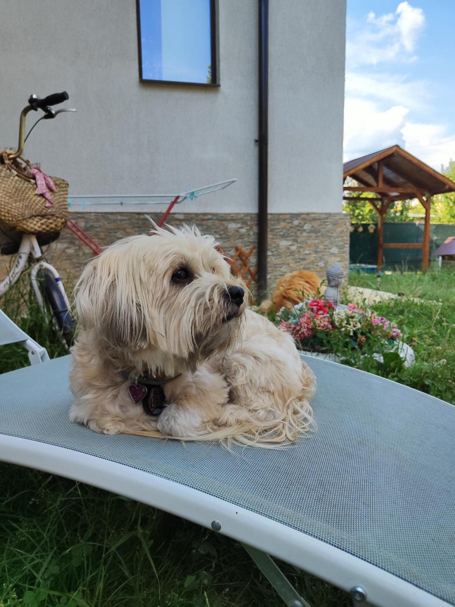 Happy Home Călimăneşti 외부 사진